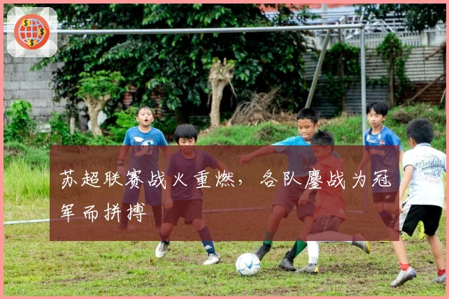 苏超联赛战火重燃，各队鏖战为冠军而拼搏